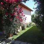 Le Jardin De Temeni Aígio