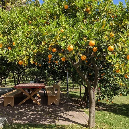 Le Jardin De Temeni Apartmán