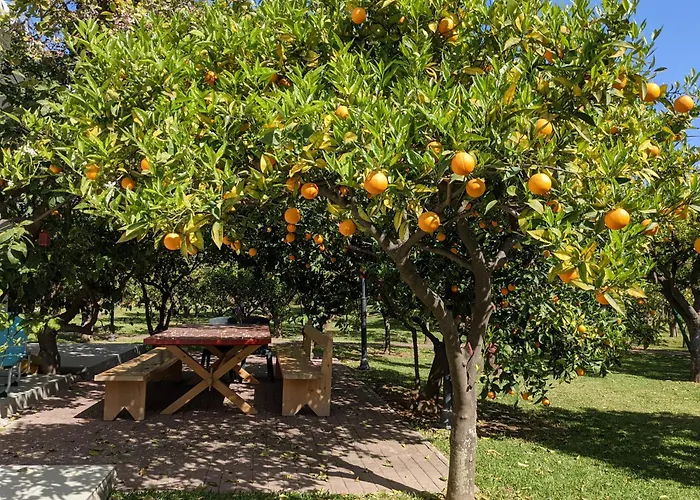 Le Jardin De Temeni Lägenhet